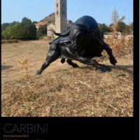 Exposition sculptures de Stéphane Deguilhen - Salle des fêtes - Carbini