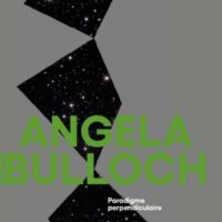 Angela Bulloch Paradigme perpendiculaire